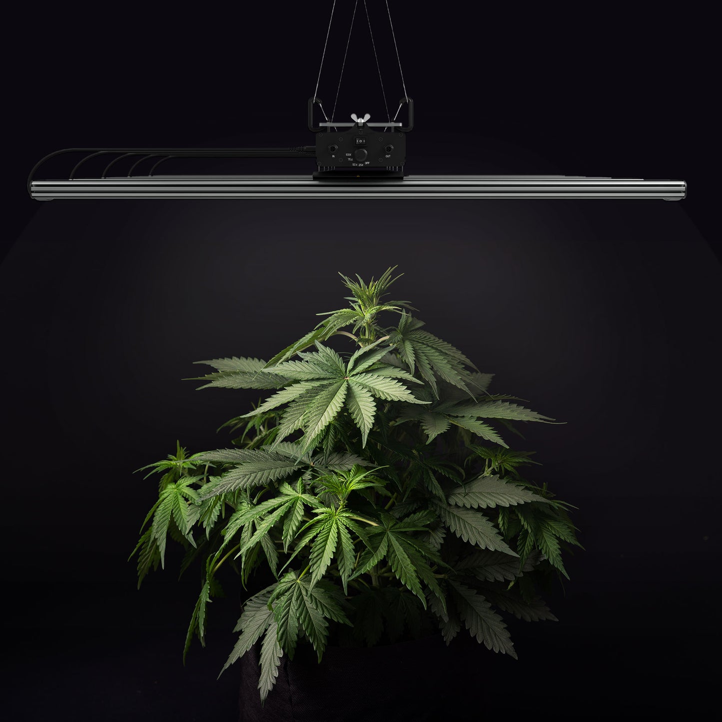 Greenception GCx 25 PWR